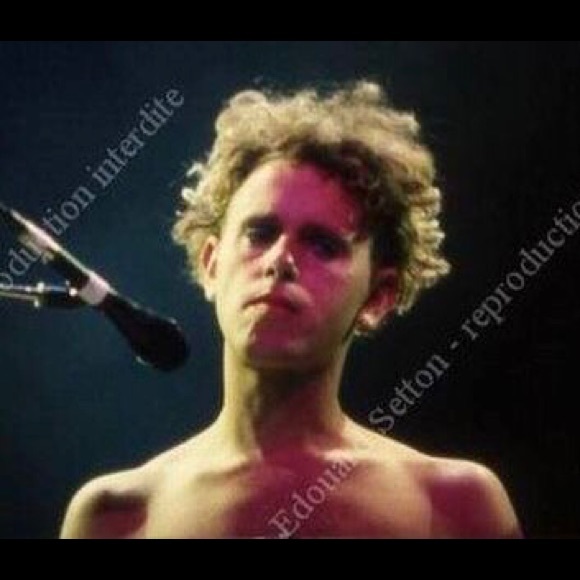 Meet your Posher, Bailey - Picture 2 of 3